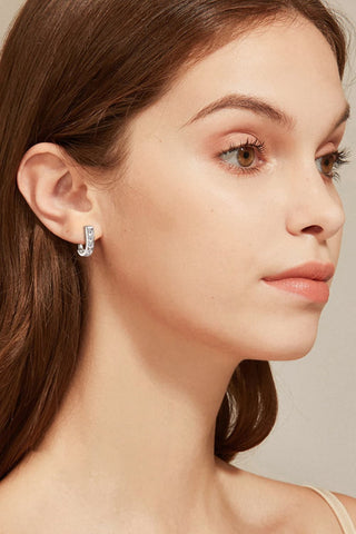 1 Carat Moissanite 925 Sterling Silver Earrings 1 Carat Moissanite 925 Sterling Silver Earrings