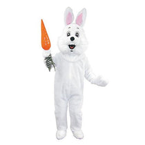 Mascot Costumes