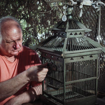 Bird Cages & Accessories