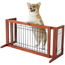 Dog Gates