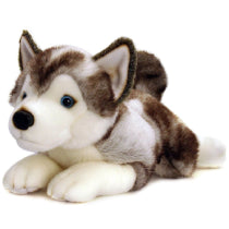 Dog Cuddle Toys