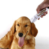 Dog Ear & Nose Care