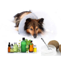 Dog Skin & Hair Care