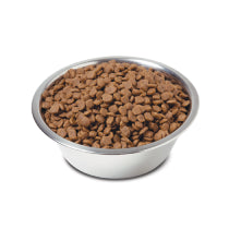 Cat Food Storage and Accessories