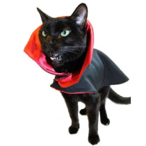 Cat Costumes & Accessories