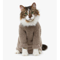 Cat Winter Wear