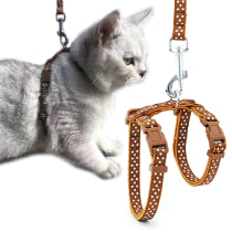 Cat Leashes & Harnesses