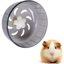 Small Pet Toys & Exercise Wheels