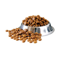 Dried Dog Food