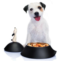 Dog Feeding & Water Bowls