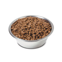 Dog Food Storage and Accessories
