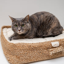 Cat Furniture, Beds & Crates