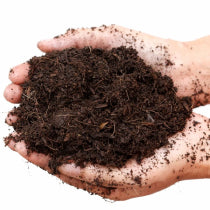 Soil