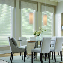 Window Blinds & Shades