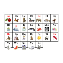 Alphabets & Words