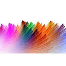 Colors