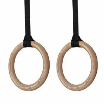 Gymnastic Rings