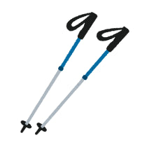 Skiing Poles