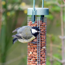 Bird Feeders & Watering Supplies