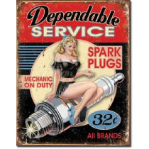 Spark Plugs & Ignition System