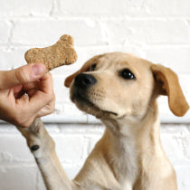 Dog Chewy Treats