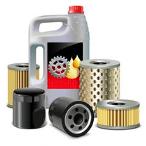 Oil & Transmission Filters