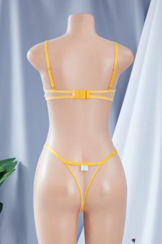 La Belle Fantastique Daisy Embroidery Sexy Lingerie (2 Piece Set)