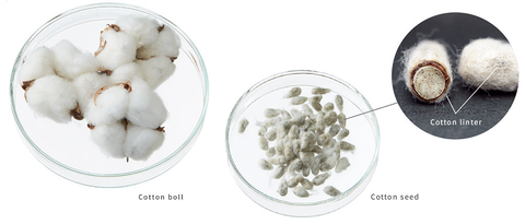 Fantastic Five Assorted Sheet Mask Set - Simply When