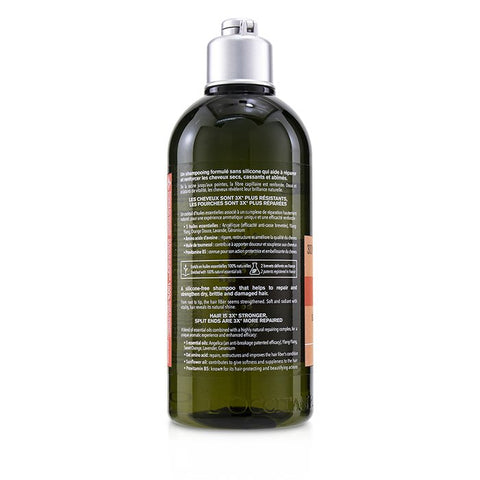 Aromachologie Intensive Repair Shampoo (damaged Hair) -