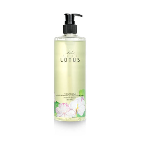 Lotus Leaf Shampoo - For Middle &amp; Dry Scalp - 420ml