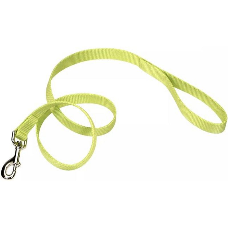 Coastal Pet Single-ply Nylon Dog Leash Lime Green - 4 Feet X 3/8"w