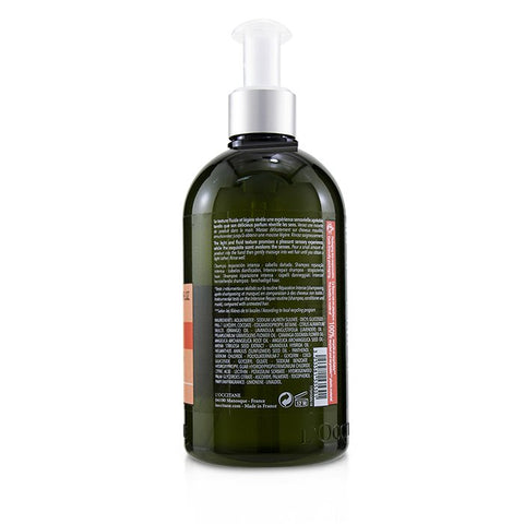 Aromachologie Intensive Repair Shampoo (damaged Hair) -