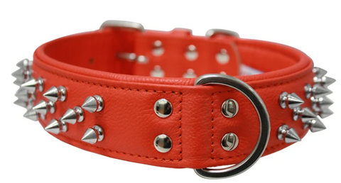 Amsterdam Dog Collar by Angel Multi Line Spiked Collar, 26" X 2", Goldfish Orange