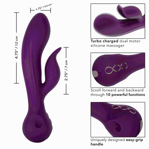 Obsession - - Purple