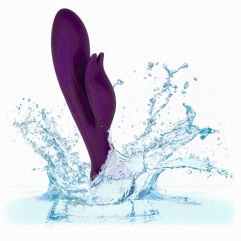 Obsession - - Purple