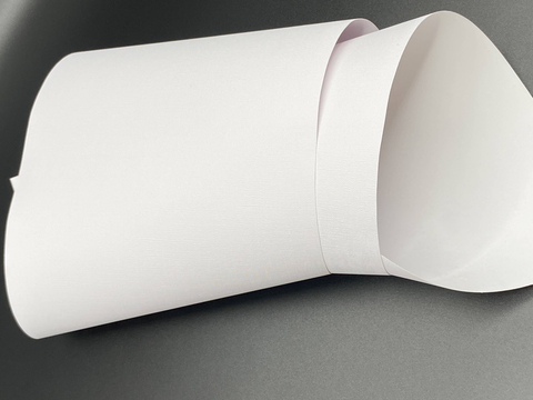 Vinyl Canvas Peel & Stick Wallpaper Panel