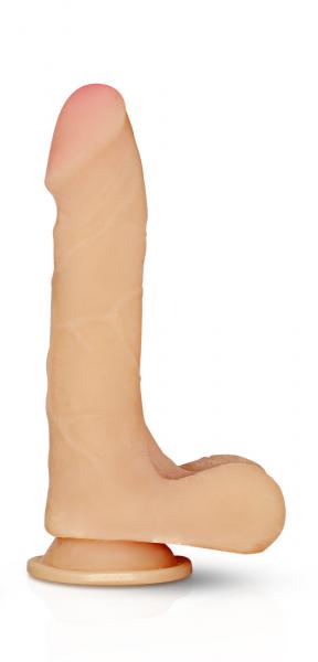238713209.jpg