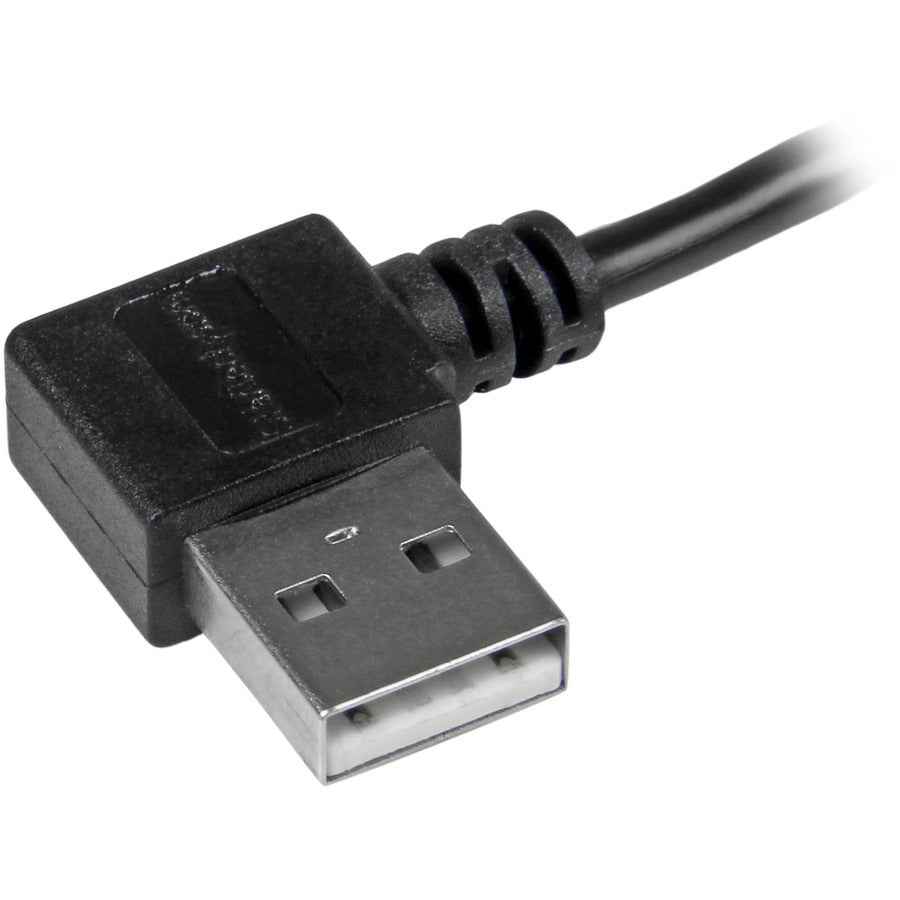 238810657.jpg