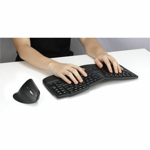 238812045.jpg