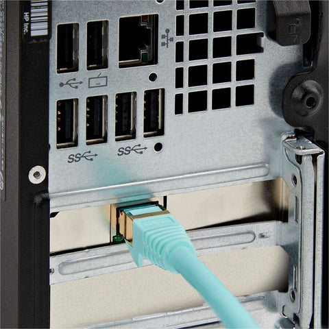 238861592.jpg