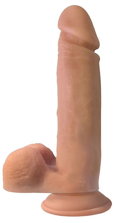238875993.jpg