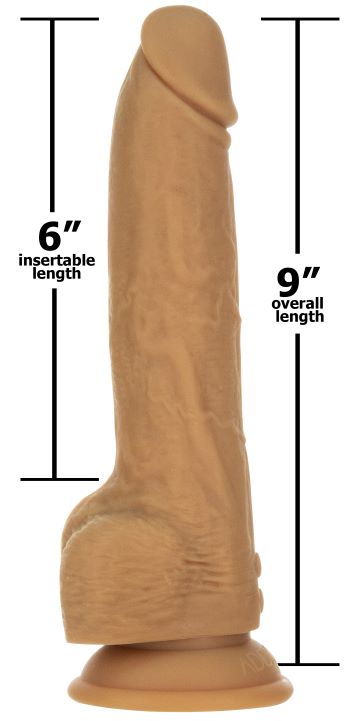 238950385.jpg