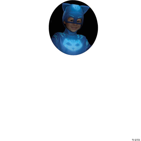 241736919.jpg