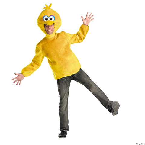 241758482.jpg