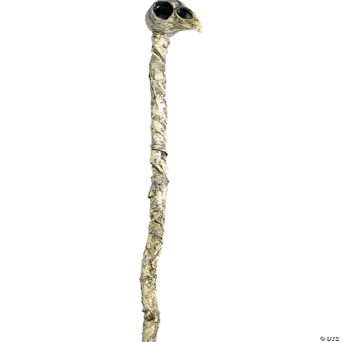 241762066.jpg