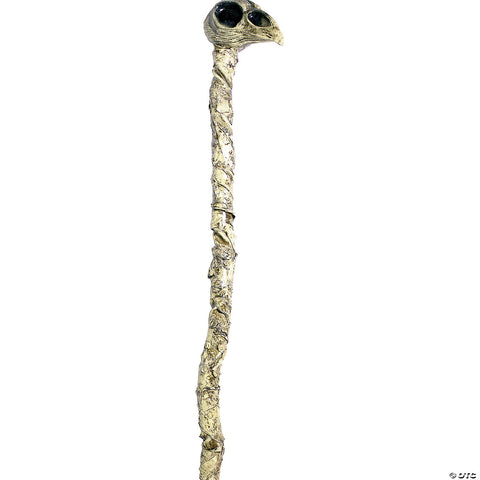 241762066.jpg