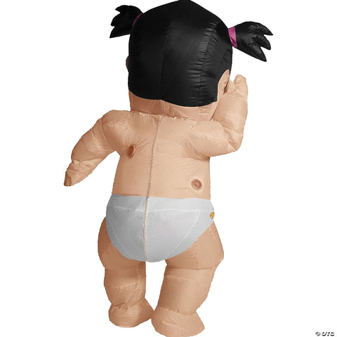 241762071.jpg