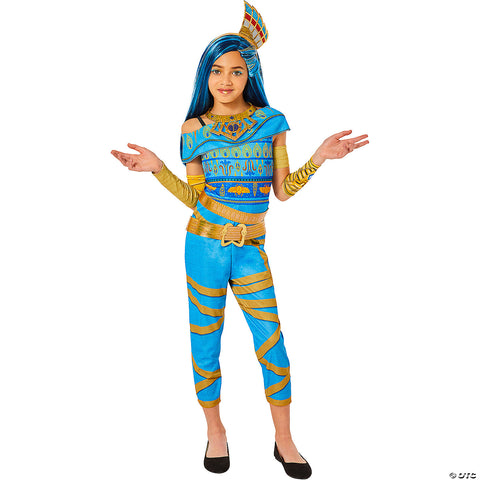 241767242.jpg