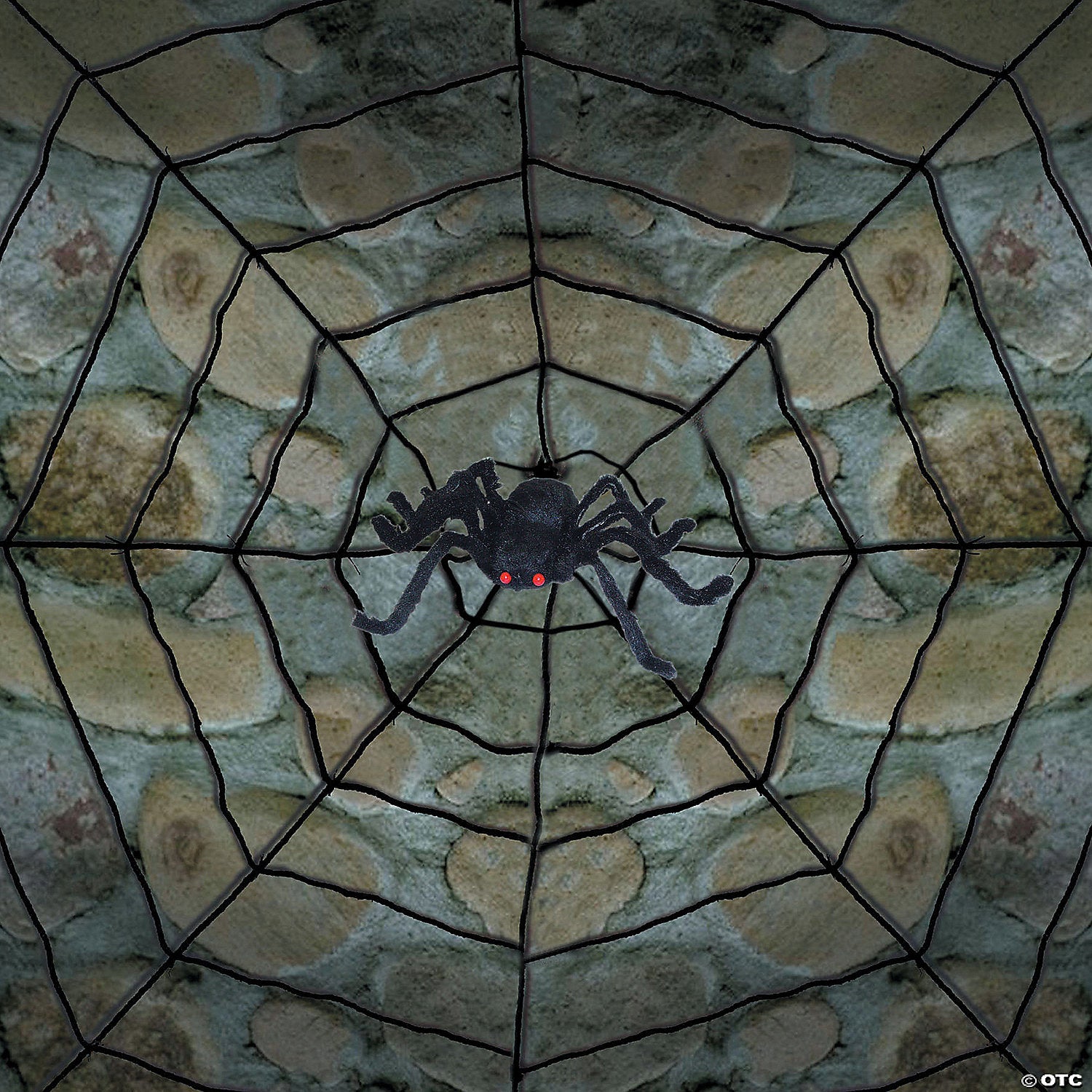 241768835.jpg