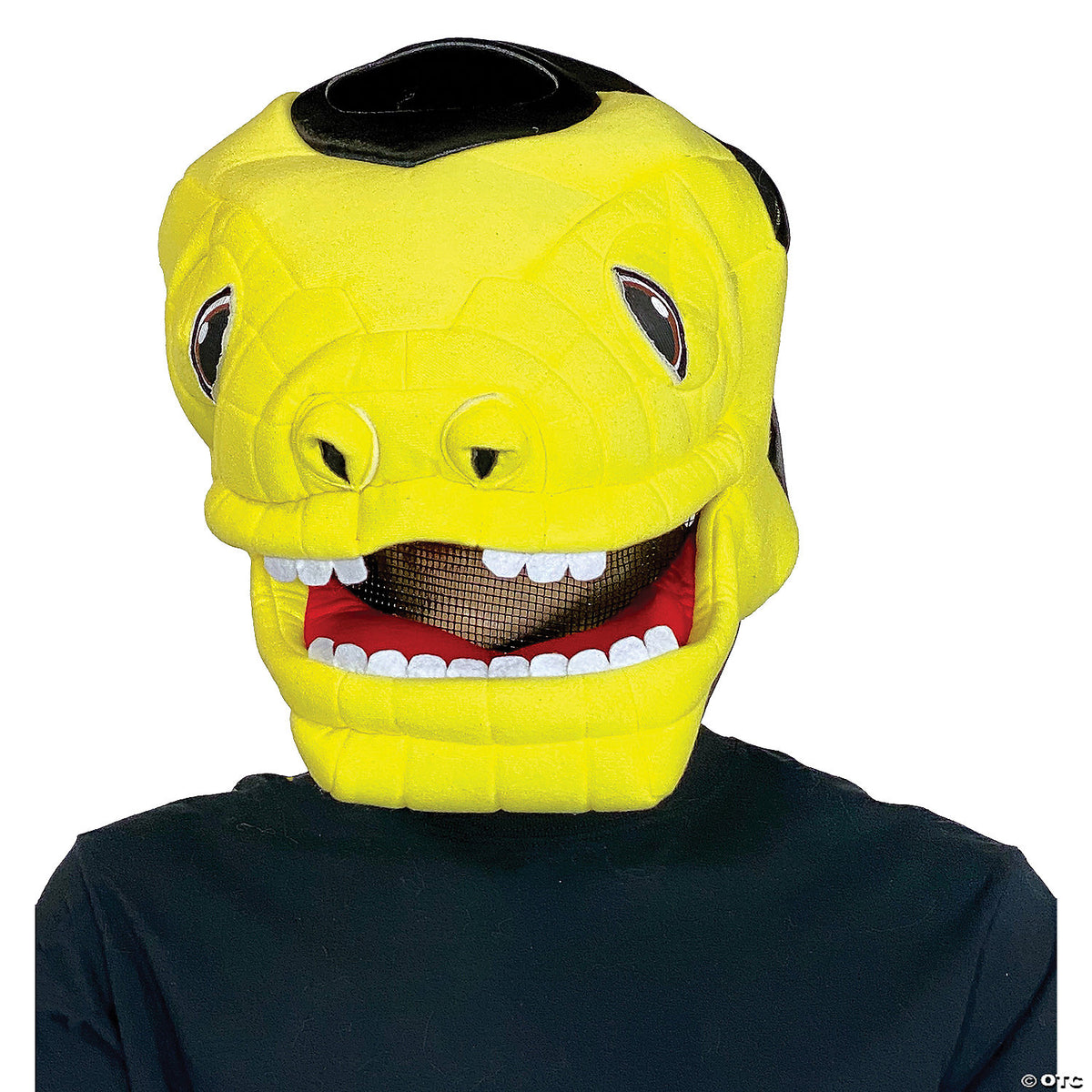 241769936.jpg